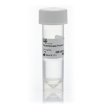 MAP4K1 (HPK1) 1 mg，PV6357，Invitrogen