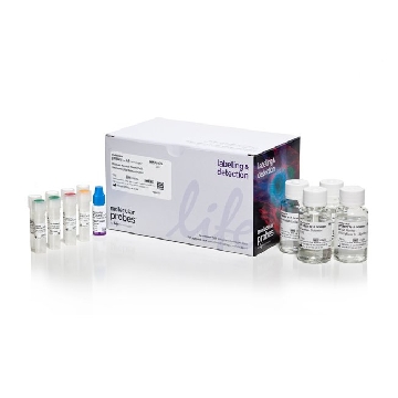 NSC ICC KIT EA，A24354，Invitrogen