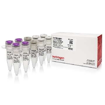 PLATINUM II PCR MM (2X) 200 RXNS，14000013，Applied Biosystems