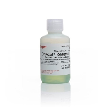 DNAZOL REAGENT 100ML，10503027，Invitrogen
