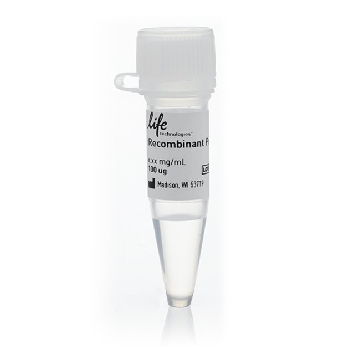 RIPK3 100 ug，PV6398，Invitrogen