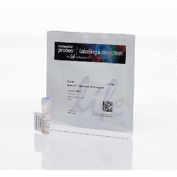 QUANT-IT RIBOGREEN RNA REAGENT 1 ML，R11491，Invitrogen