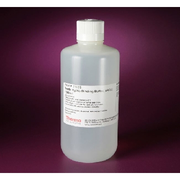 GENTLE AG/AB BINDING BUFFER, PH 8.0, 1000 ML.，21020，赛默飞世尔