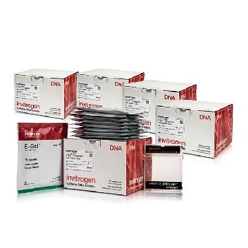 E-GEL SYBR SAFE 1% 50 GELS，A45203，Applied Biosystems