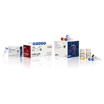 BAC-TO-BAC N-HIS TOPO EXP SYS COMBO KIT，A11101，Invitrogen
