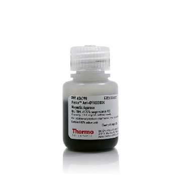 ANTI-DYKDDDDK MAG AGAROSE 5ML SETTLE，A36798，赛默飞世尔