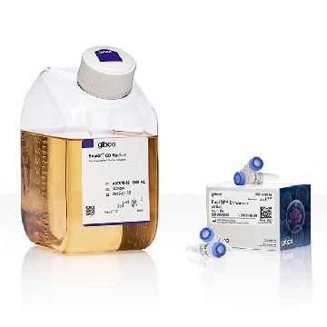 EXPISF PROTEIN PROD KIT 1L 1L KIT，A3767806，Invitrogen