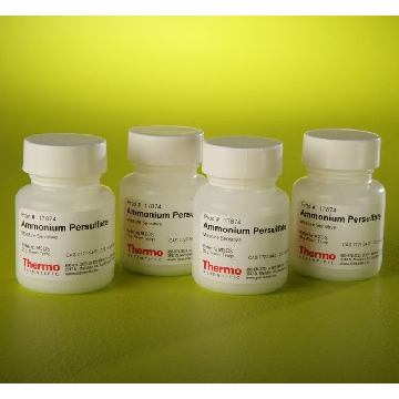 AMMONIUM PERSULFATE, 4 X 25 GM EA，17874，赛默飞世尔