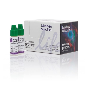 ACTINGREEN 488 READYPROBES 2 X 2.5 ML，R37110，Invitrogen