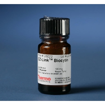 EZ-LINK  BIOCYTIN EA，28022，赛默飞世尔