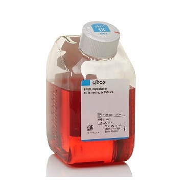 DMEM HIGH GLUCOSE 500ML，21068028，Invitrogen