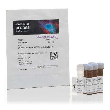 SYTOX AADVANCED DEAD CELL STAI 1 KIT，S10274，Invitrogen