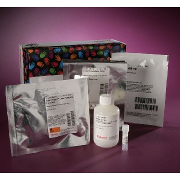 PIERCE S-NITROSYLATION WESTERN BLOT KIT，90105，赛默飞世尔