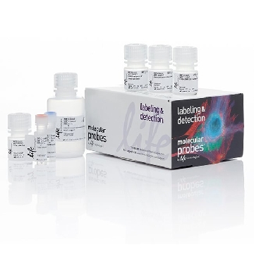CLICK PLUS EDU 350 FLOW KIT 50 1 KIT，C10645，Invitrogen