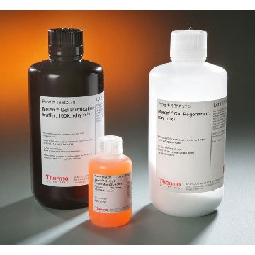 MELON GEL IGG PURIFICATION KIT EA，45212，赛默飞世尔