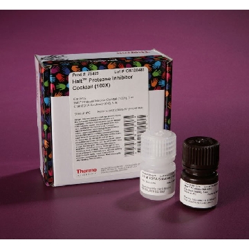 HALT PROTEASE INHIBITOR COCKTAIL (100X), 5 ML.，78429，赛默飞世尔