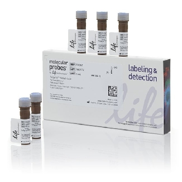 FXCYCLE VIOLET STAIN 1 SET，F10347，Invitrogen