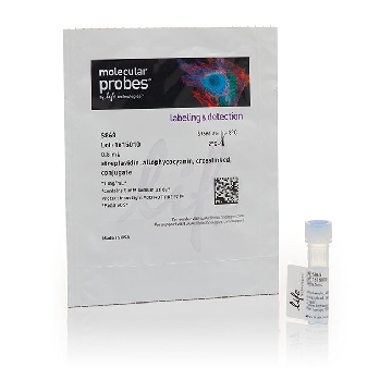 STREPTAVIDIN, ALLOPHYCOCY 0.5 ML，S868，Invitrogen