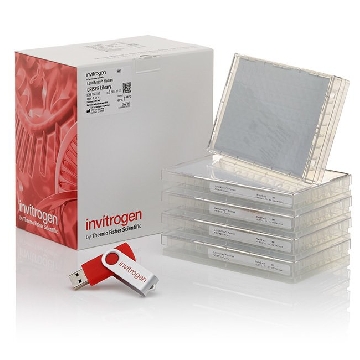 LENTIARRAY HM APOPTO LIBRARY 1 LIBRARY，A31940，赛默飞世尔