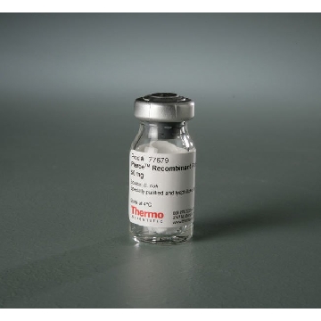 PIERCE RECOMBINANT PROTEIN L, 50 MG，77679，赛默飞世尔