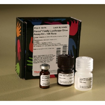 FIREFLY LUCIFERASE GLOW ASSAY KIT, 100 REACTIONS，16176，赛默飞世尔