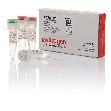 SUPERSCRIPT IV VILO MASTERMIX 500 RXNS，11756500，Invitrogen