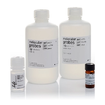 PHRODO E. COLI BIOPARTICLES 1 KIT，A10025，Invitrogen