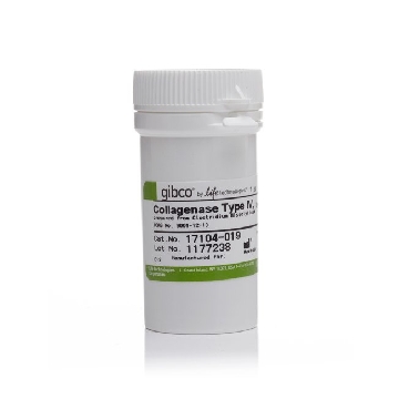 COLLAGENASE, TYPE IV 1G，17104019，Invitrogen
