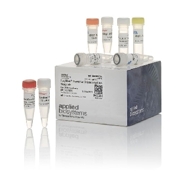TQMN,REV TRANSCRIPTION RGNTS/ MNL 402876，N8080234，Applied Biosystems