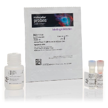 ALEXA FLUOR 488 ANNEXIN V/DEAD 1 KIT，V13241，Invitrogen