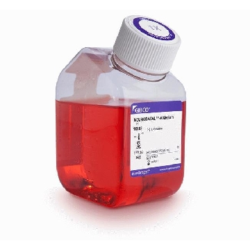 NEUROBASAL-A MEDIUM 1X 500ML，10888022，Invitrogen