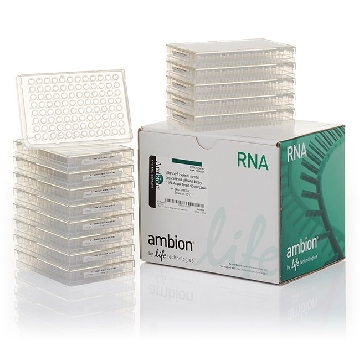 SI SEL HM TRASCRIPTION SIRNA 0.25N 96W，A30087，Applied Biosystems
