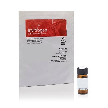 DID'OIL;DIIC18(5)OIL 25 MG，D307，Invitrogen