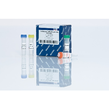 HotStarTaq DNA Polymerase (1000 U)，203205，Qiagen，凯杰