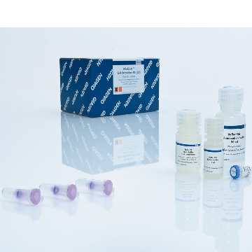 MinElute PCR Purification Kit (1000)，28006X4，Qiagen，凯杰