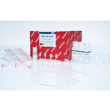 RNA提取试剂盒，RNeasy Mini Kit (250)，74106 ，Qiagen，凯杰