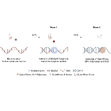 QuantiNova Probe RT-PCR Kit (2500)，208356，Qiagen，凯杰