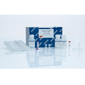 QIAamp Viral RNA Mini Kit (250)，52906，Qiagen，凯杰