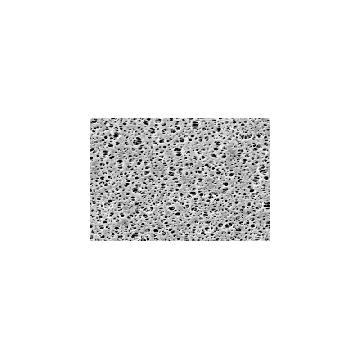 PES Membrane; 0.1µm; 47mm; 100pk，15458--47------N，赛多利斯