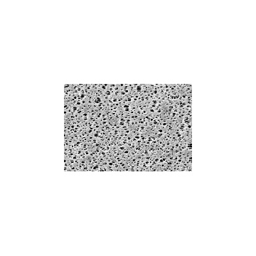 PES Membrane; 0.1µm; 47mm; 100pk，15458--47------N，赛多利斯