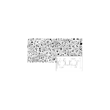 RCMembran;0,45µm;47mm;100pc，18406--47------N，赛多利斯