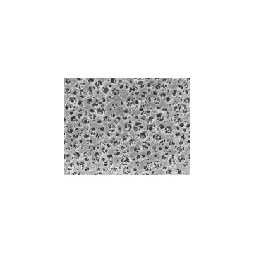 CA Membrane;0.65µm; 47mm; 100pc，11105--47------N，赛多利斯