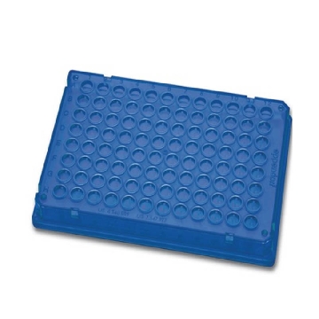 twin.tec 384孔PCR板, (孔无色) 蓝色, 300块，0030128966，Eppendorf，艾本德