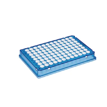 twin.tec荧光定量PCR 96孔板, 全裙边(孔白色), 蓝色, 25片，0030132505，Eppendorf，艾本德