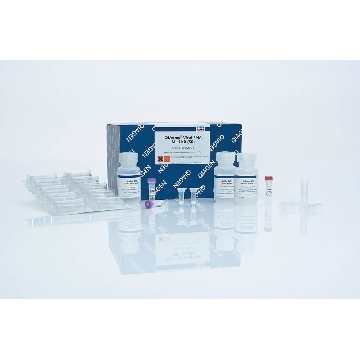 QIAamp Viral RNA Mini Kit (50)，52904，Qiagen，凯杰