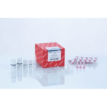 miRNeasy Serum/Plasma Advanced Kit (50)，217204，Qiagen，凯杰