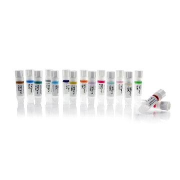 TMTpro™ 16plex Label Reagent Set, 1 x 0.5 mg，A44521，赛默飞世尔