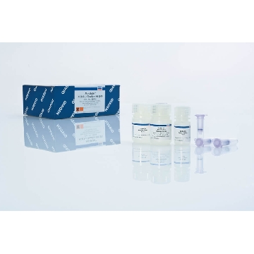 MinElute PCR Purification Kit (50)，28004，Qiagen，凯杰