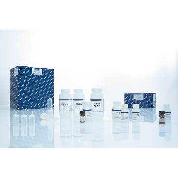 QIAamp DNA Blood Maxi Kit (10)，51192，Qiagen，凯杰