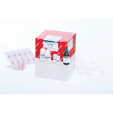 RNeasy Plus Universal Tissue Mini Kit50，73404，Qiagen，凯杰